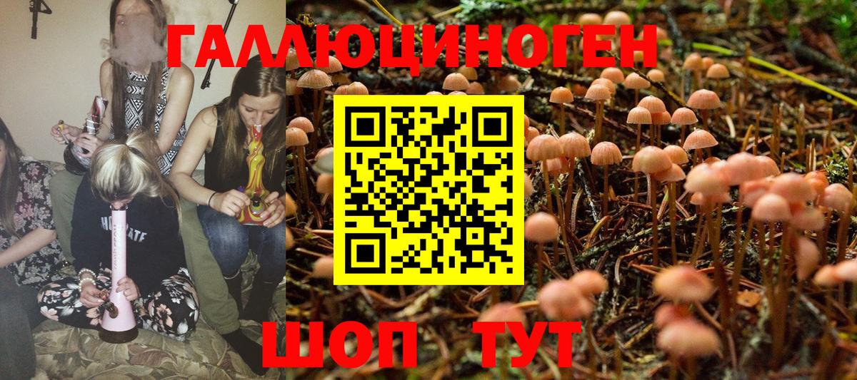 Галлюциногенные грибы MAGIC MUSHROOMS Полевской